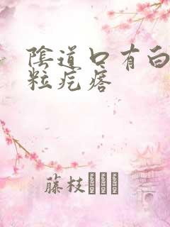 阴道口有白色颗粒疙瘩