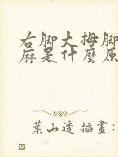 右脚大拇脚趾头麻是什么原因