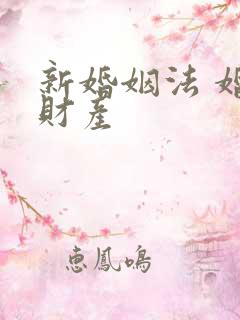 新婚姻法 婚前财产