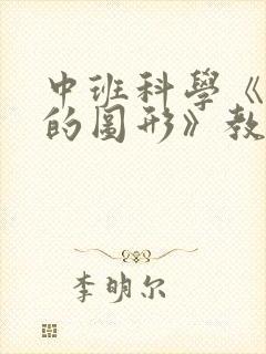 中班科学《有趣的图形》教案