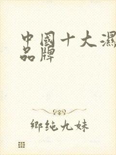 中国十大湿纸巾品牌