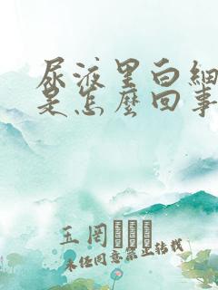 尿液里白细胞高是怎么回事