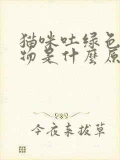 猫咪吐绿色糊状物是什么原因