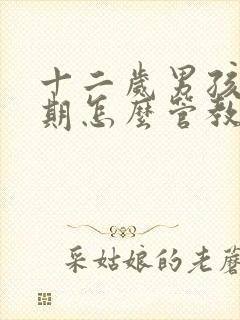 十二岁男孩叛逆期怎么管教