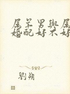 属羊男与属牛女婚配好不好