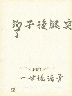 狗子后腿突然瘸了