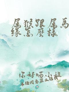 属猴跟属马的姻缘怎么样