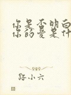 你是否明白我对你的爱是什么歌