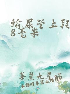 输尿管上段结石8毫米