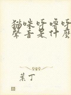 猫咪呼噜呼噜的声音是什么意思啊