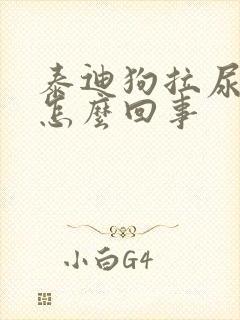 泰迪狗拉尿有血怎么回事