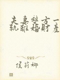 夫妻双方一方出轨离婚财产如何分割