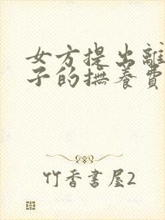 女方提出离婚孩子的抚养费给多少钱