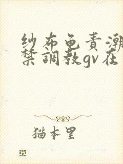 纱布龟责潮喷失禁调教gv在线