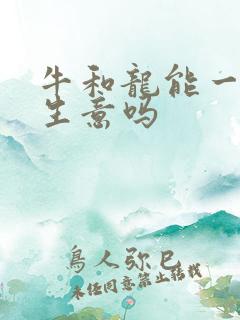 牛和龙能一起做生意吗