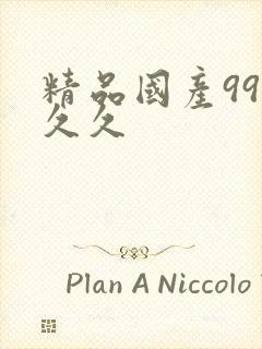 精品国产99久久久