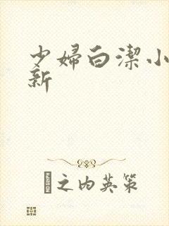 少妇白洁小说最新