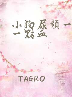 小狗尿频一会尿一点血