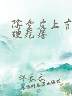 阴囊皮上有白色硬疙瘩