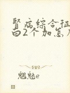 肾病综合征尿蛋白2个加怎么治疗