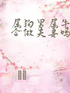 属狗男属牛女适合做夫妻吗