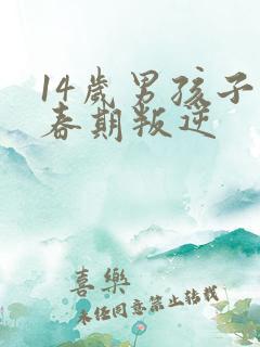 14岁男孩子青春期叛逆