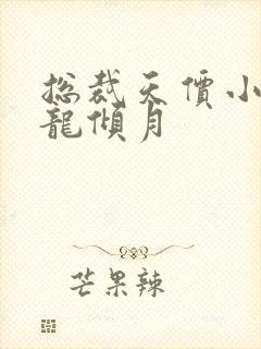 总裁天价小娇妻龙倾月