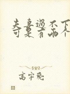 夫妻过不下去了可是有两个孩子怎么办