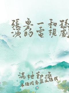 张鲁一和孙红雷演的电视剧