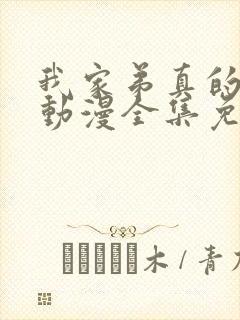 我家弟真的很棒动漫全集免费观看