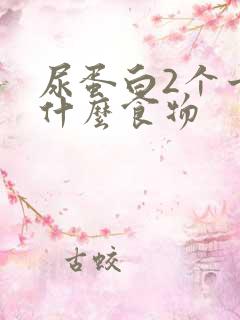 尿蛋白2个十吃什么食物