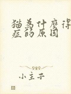 猫为什么得尿闭症的原因