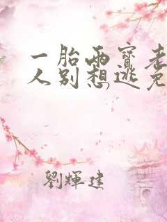 一胎两宝老婆大人别想逃免费阅读全文小说