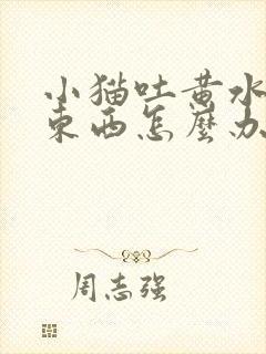 小猫吐黄水不吃东西怎么办