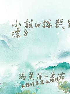 小说w总裁别太坏》