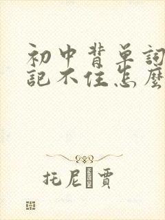 初中背单词总是记不住怎么办