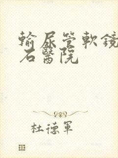 输尿管软镜取结石医院