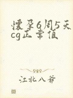 怀孕6周5天hcg正常值