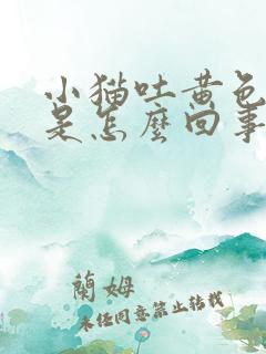 小猫吐黄色液体是怎么回事