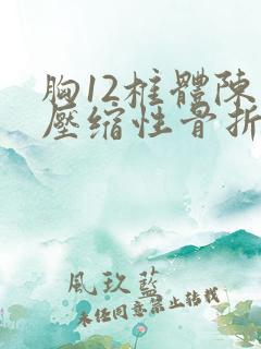 胸12椎体陈旧压缩性骨折