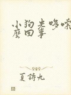 小狗光哆嗦是怎么回事