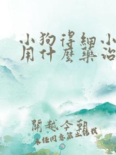 小狗得细小了都用什么药治疗