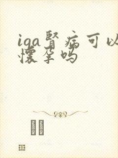 iga肾病可以怀孕吗