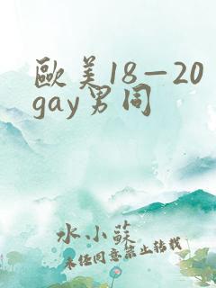 欧美18—20gay男同