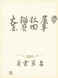 大猫拉屎带血是怎么回事