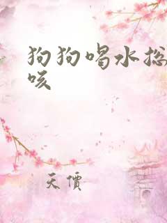 狗狗喝水总是呛咳