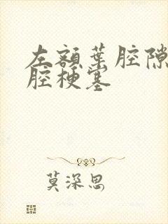 左额叶腔隙性脑腔梗塞