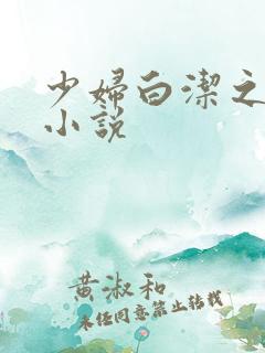 少妇白洁之类的小说