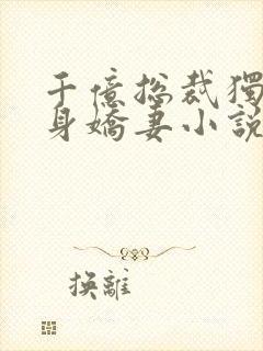 千亿总裁独宠替身娇妻小说阅读