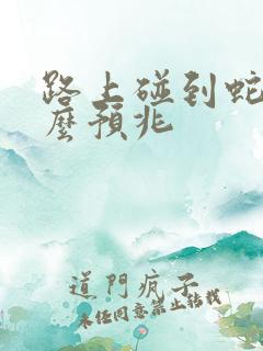 路上碰到蛇是什么预兆